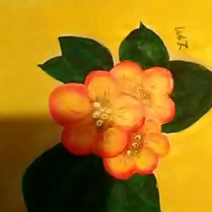 Meet your Posher, Louisa